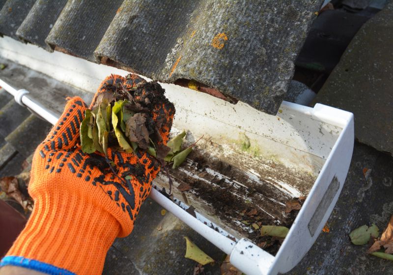 Gutter Maintenance in Morris County, NJ